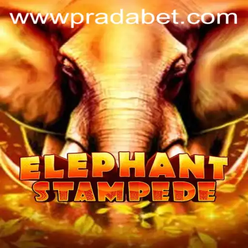 ElephantStampede: A New Gaming Adventure Awaits